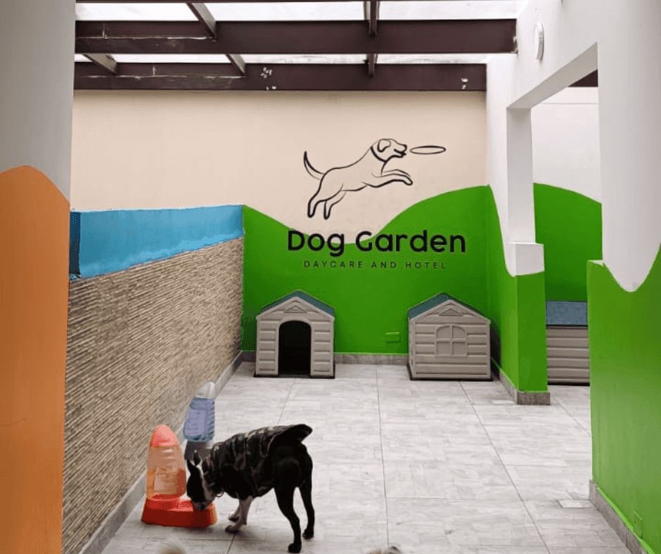 dog office