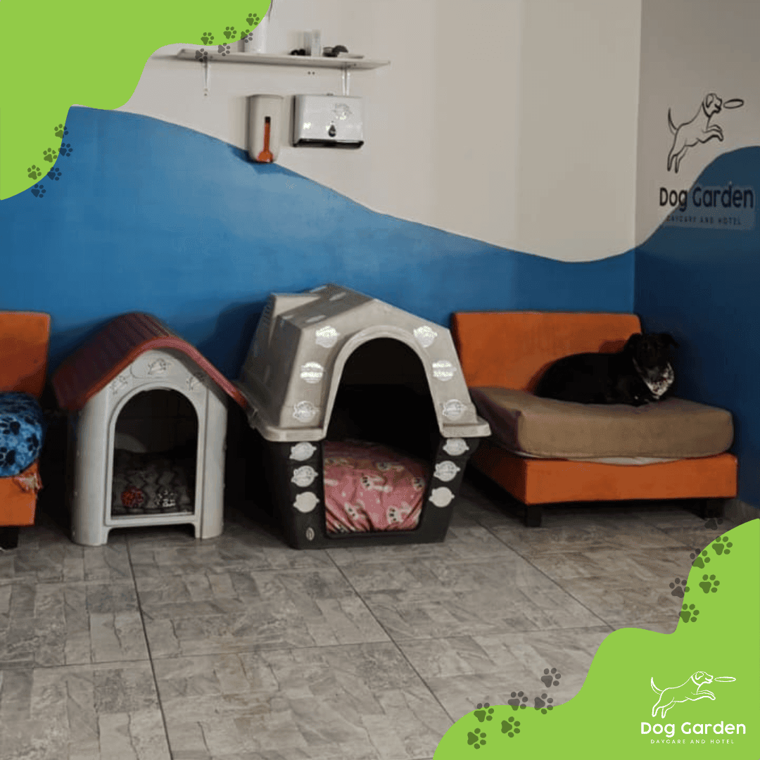 Guarderia canina en Bogota