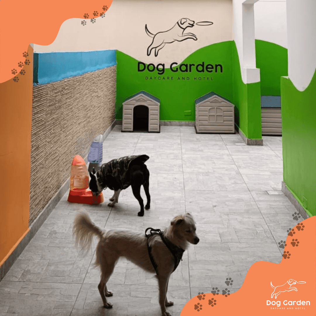 Guarderia canina en Bogota
